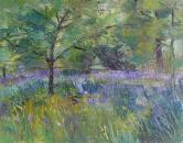 Bluebells at  Pembroke Lodge  , 17 x13 inches, oil on board, �325